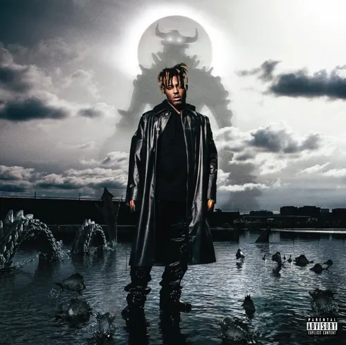 Juice WRLD - Fighting Demons vinyl record cover