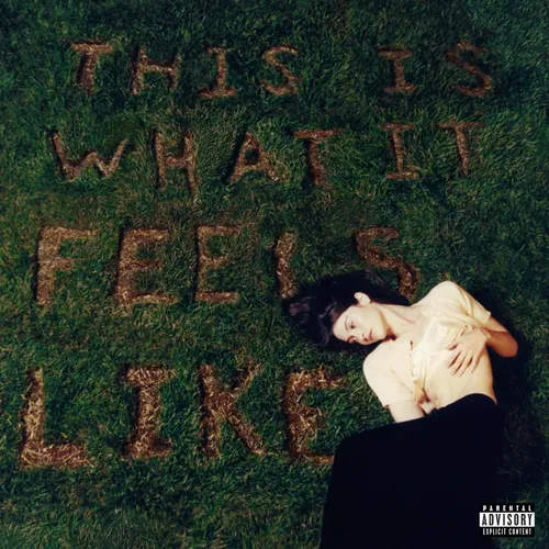 Gracie Abrams - This Is What It Feels Like vinyl record cover