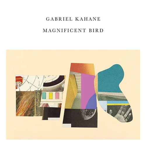 Gabriel Kahane - Magnificent Bird vinyl record cover