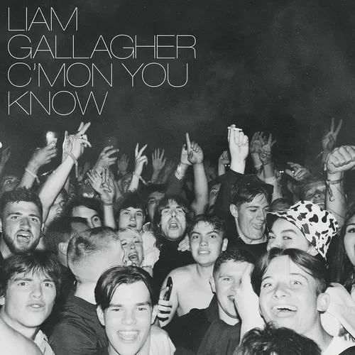 Liam Gallagher - C'mon You Know vinyl record cover