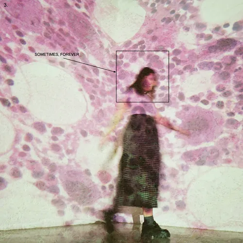 Soccer Mommy - Sometimes, Forever vinyl record cover