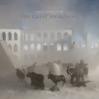 The Great Awakening
