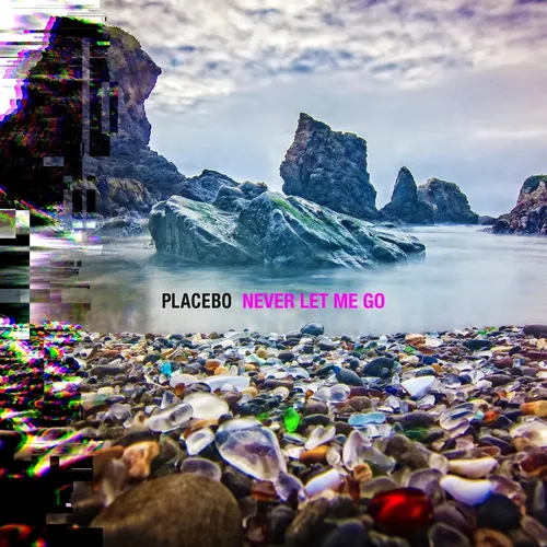 Placebo - Never Let Me Go vinyl record cover