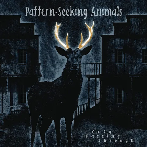 Pattern-Seeking Animals - Only Passing Through vinyl record cover