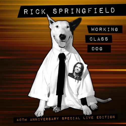 Rick Springfield - Working Class Dog: 40th Anniversary Special Live Edition vinyl record cover