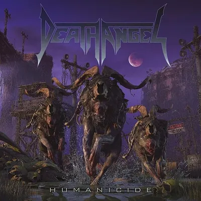 Packshot