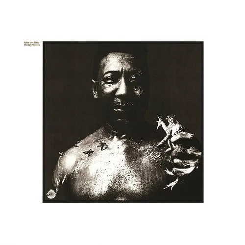 Muddy Waters - After The Rain vinyl record cover