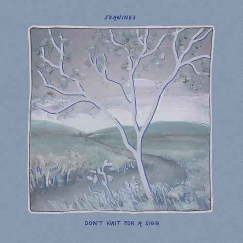 Jeanines - Don't Wait For A Sign vinyl record cover
