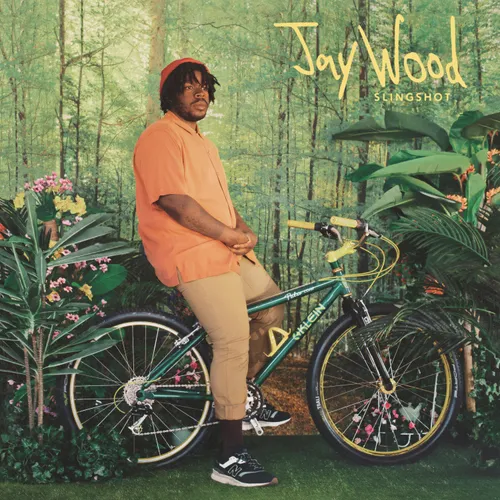 jaywood - Slingshot vinyl record cover