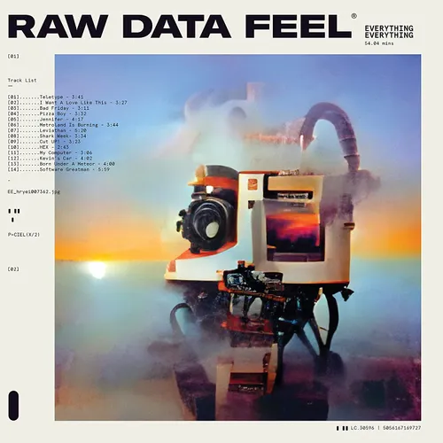 Everything Everything - Raw Data Feel vinyl record cover