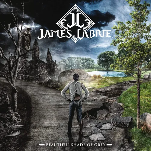 James LaBrie - Beautiful Shade Of Grey vinyl record cover