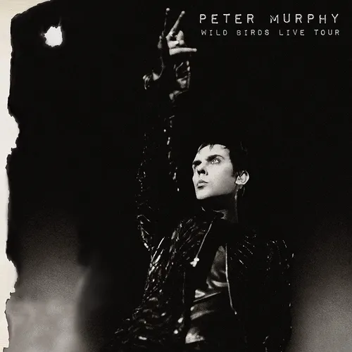 Peter Murphy - Wild Birds Live Tour vinyl record cover