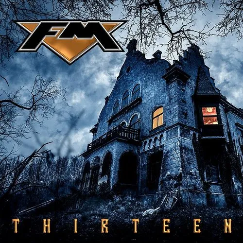 FM - Thirteen (Gol) vinyl record cover