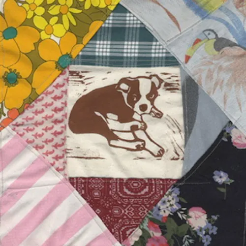 Mapache - Roscoe's Dream vinyl record cover
