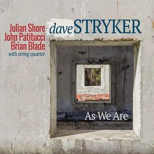 Dave Stryker - As We Are vinyl record cover