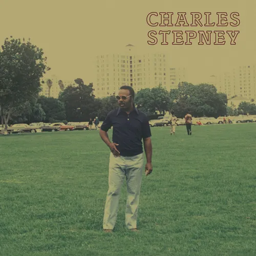 Charles Stepney - Step On Step vinyl record cover