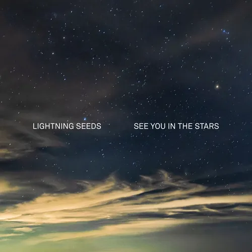 Lightning Seeds - See You in the Stars vinyl record cover