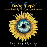 Hey Hey Rise Up  Limited Edition Vinyl Single]