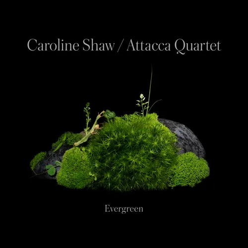 Caroline Shaw & Attacca Quartet - Evergreen vinyl record cover