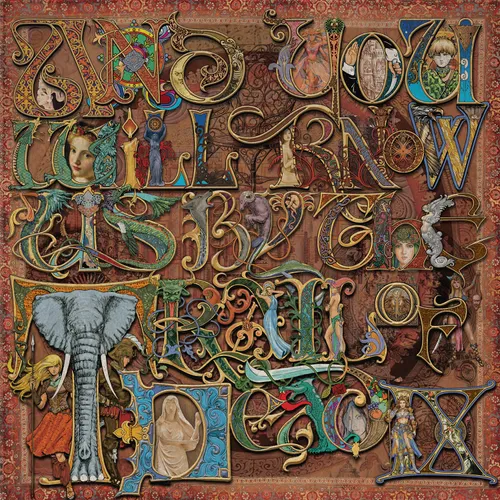 ...And You Will Know Us By The Trail Of Dead - IX vinyl record cover
