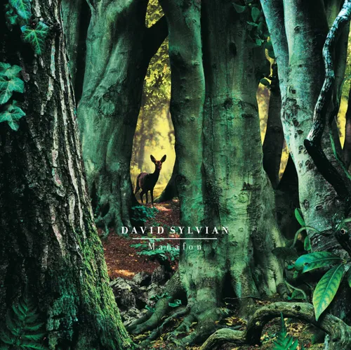 David Sylvian - Manafon vinyl record cover