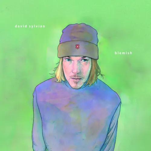 David Sylvian - Blemish vinyl record cover
