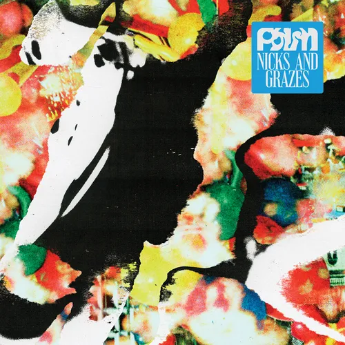 Palm - Nicks and Grazes vinyl record cover