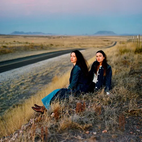 Plains - I Walked With You A Ways vinyl record cover