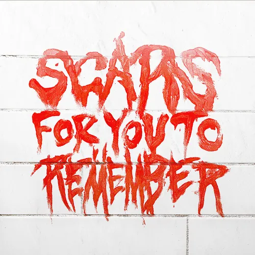 Varials - Scars For You To Remember vinyl record cover