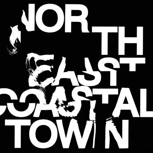 LIFE - North East Coastal Town vinyl record cover