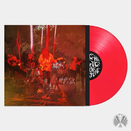 Psychedelic Porn Crumpets - Levitation Sessions vinyl record cover
