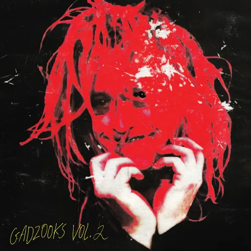 Caleb Landry Jones - Gadzooks Vol. 2 vinyl record cover