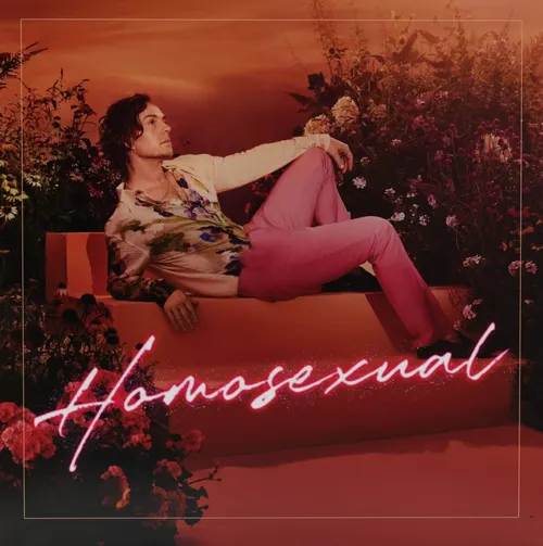 Darren Hayes - Homosexual vinyl record cover