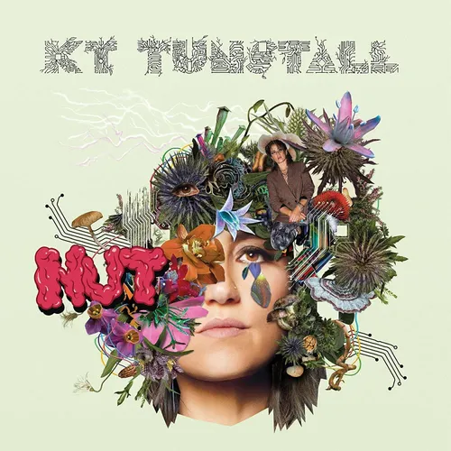 KT Tunstall - Nut vinyl record cover