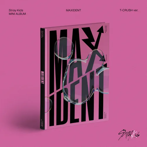 Stray Kids - MAXIDENT vinyl record cover