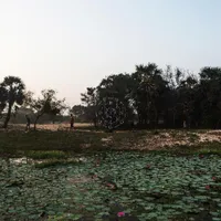 Kalak