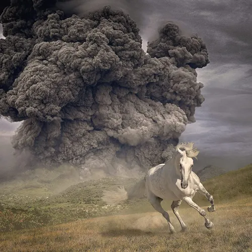 The White Buffalo - Year Of The Dark Horse vinyl record cover