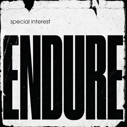 Special Interest - Endure vinyl record cover