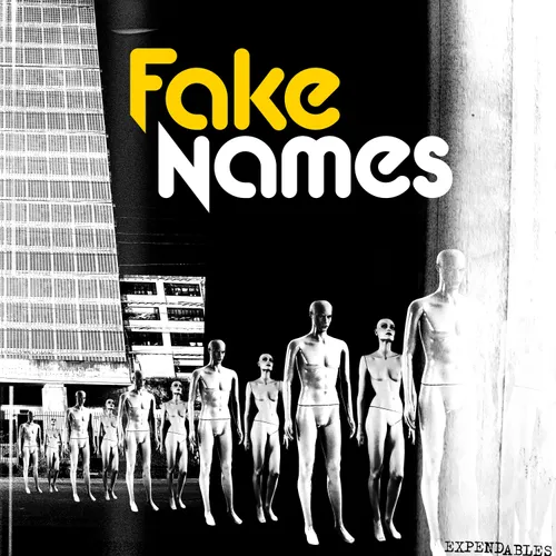 Fake Names - Expendables vinyl record cover