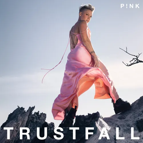 P!NK - TRUSTFALL vinyl record cover