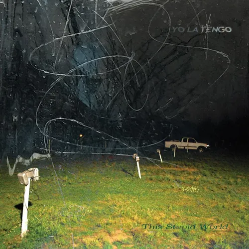 Yo La Tengo - This Stupid World (Blue) vinyl record cover