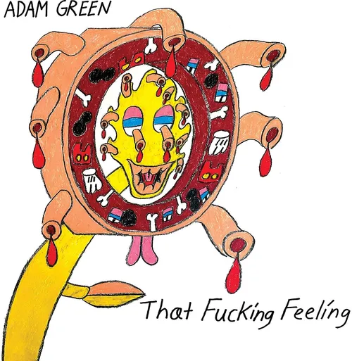 Adam Green - That Fucking Feeling vinyl record cover