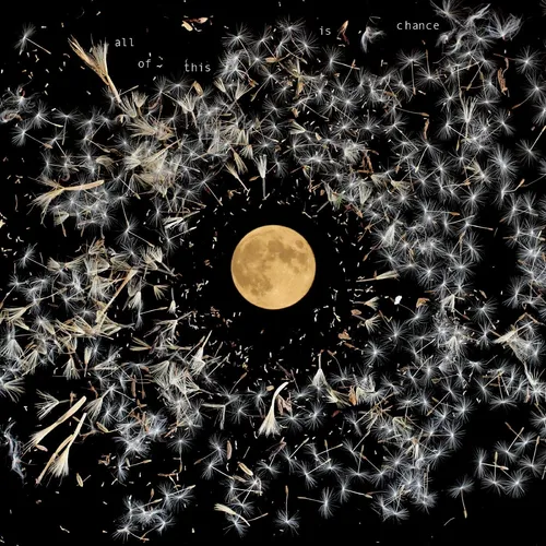 Lisa O'Neill - All Of This Is Chance vinyl record cover