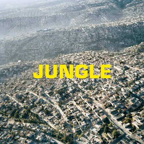 The Blaze - Jungle vinyl record cover