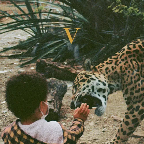 Unknown Mortal Orchestra - V vinyl record cover