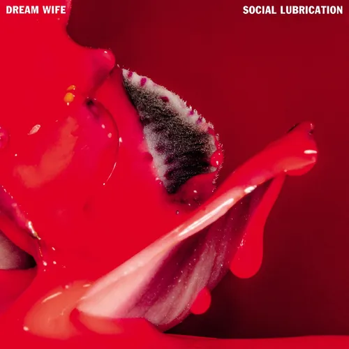Dream Wife - Social Lubrication vinyl record cover