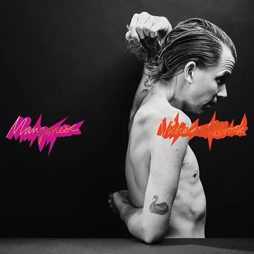 Nicholas Allbrook - Manganese vinyl record cover