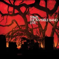 The Invisible Band: Live
