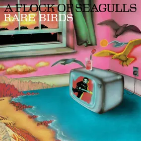 Rare Birds - 'A Flock Of Seagulls' B-Sides, Edits and Alternate Mixes
