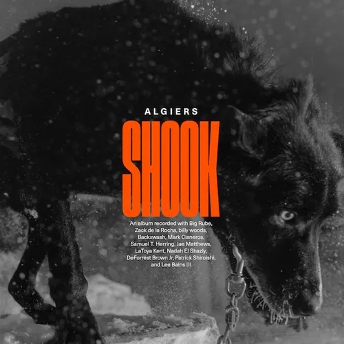 Algiers - Shook vinyl record cover